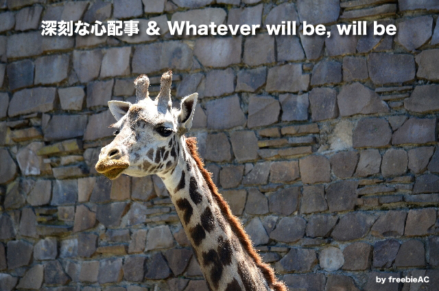 深刻な心配事＆Whatever will be, will be