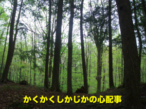 かくかくしかじかの心配事