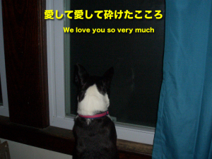愛して愛して砕けたこころ　We love you so very much