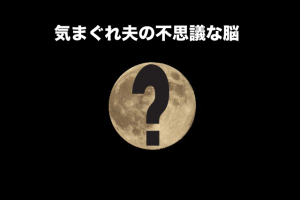 気まぐれ夫の不思議な脳