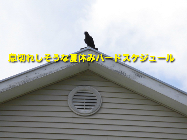息切れしそうな夏休みハードスケジュール
