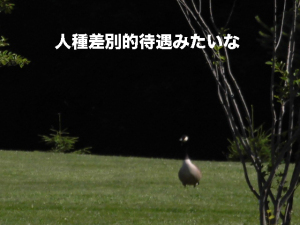 人種差別的待遇みたいな