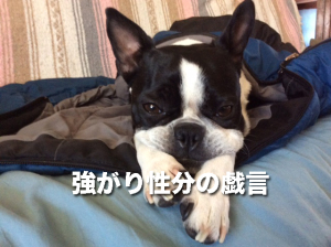 強がり性分の戯言