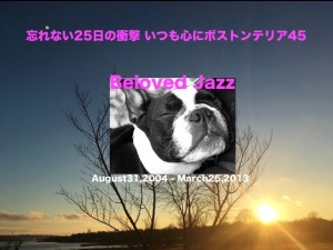 忘れない25日の衝撃 いつも心にボストンテリア45