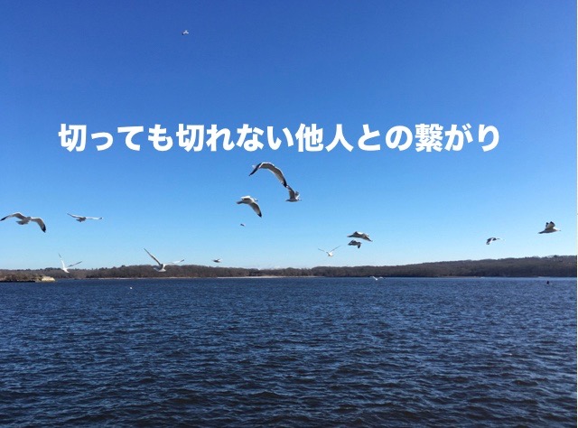切っても切れない他人との繋がり