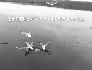 生きる糧に小さなチャンスを引き寄せるもの